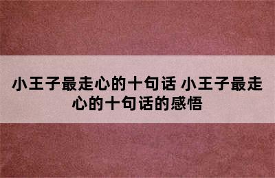 小王子最走心的十句话 小王子最走心的十句话的感悟